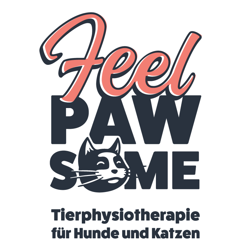 zu Jennys Webseite
